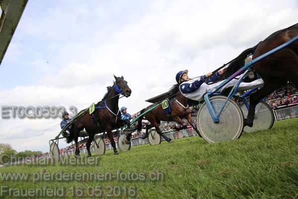 ET0Q0593.3 prot